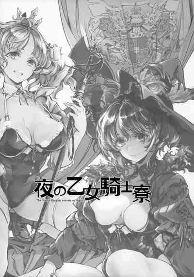 The Virgin Knights secrets at Night 3
