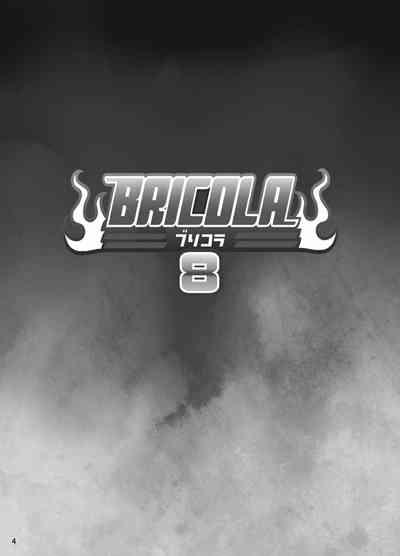 BRICOLA 8 4