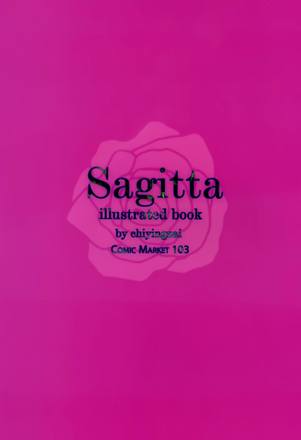 Sagitta 21