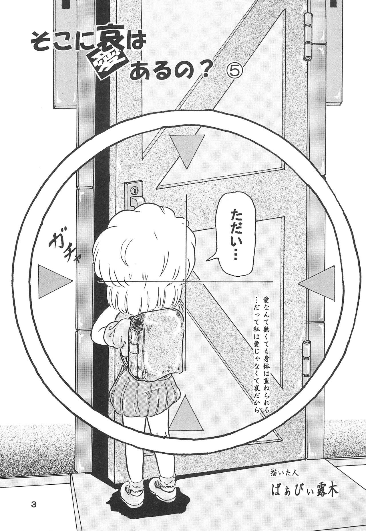 Soko ni Ai wa aru no? 5 - Page 5