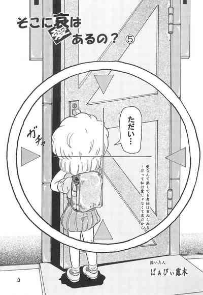 Soko ni Ai wa aru no? 5 5
