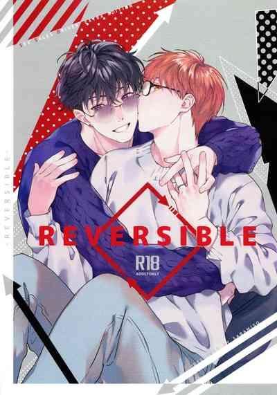 REVERSIBLE 1