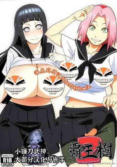 Haouju 2 1