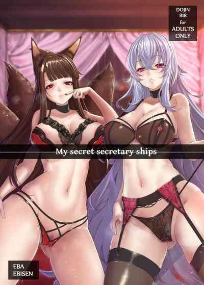 My Secret Secretary Ships 1