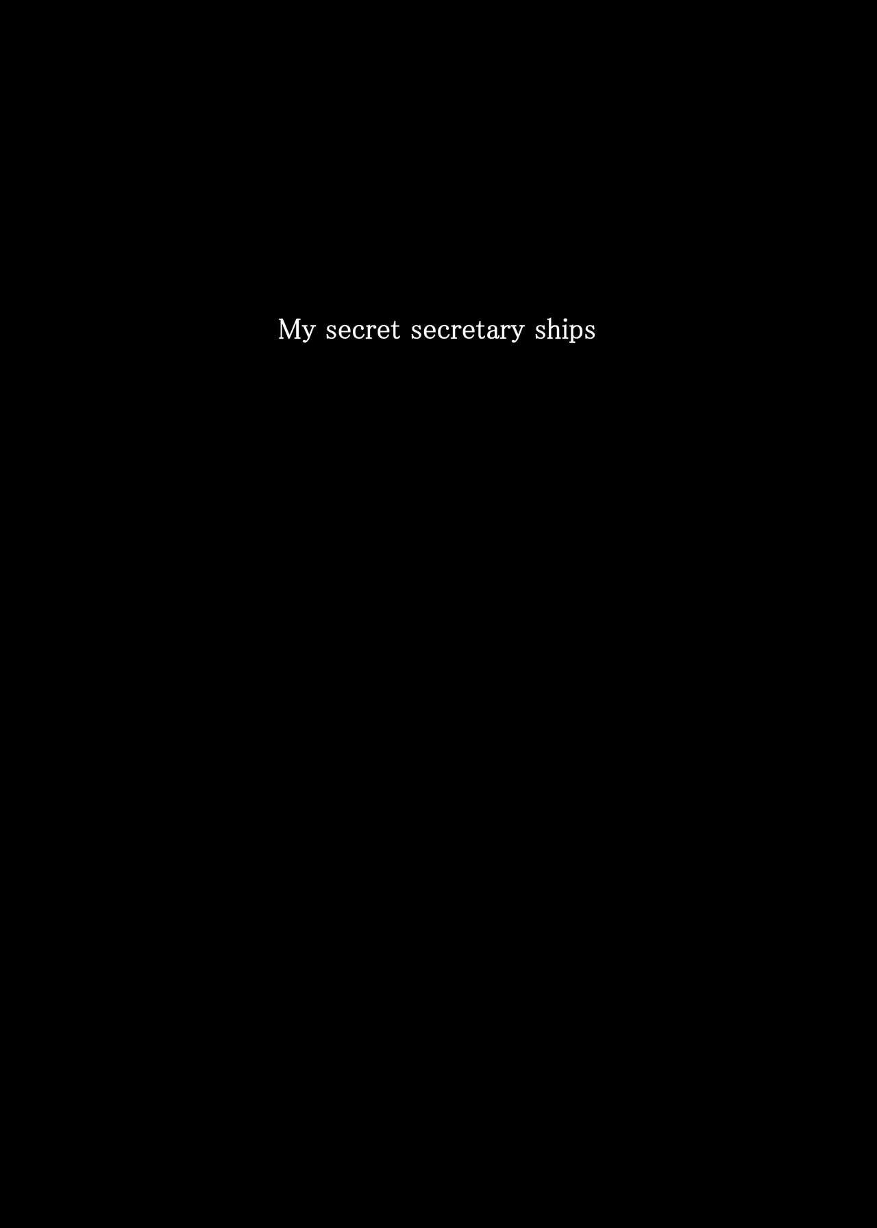 My Secret Secretary Ships 2