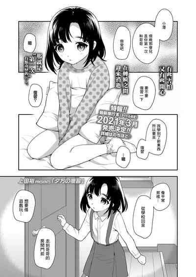 夕方の復習 1