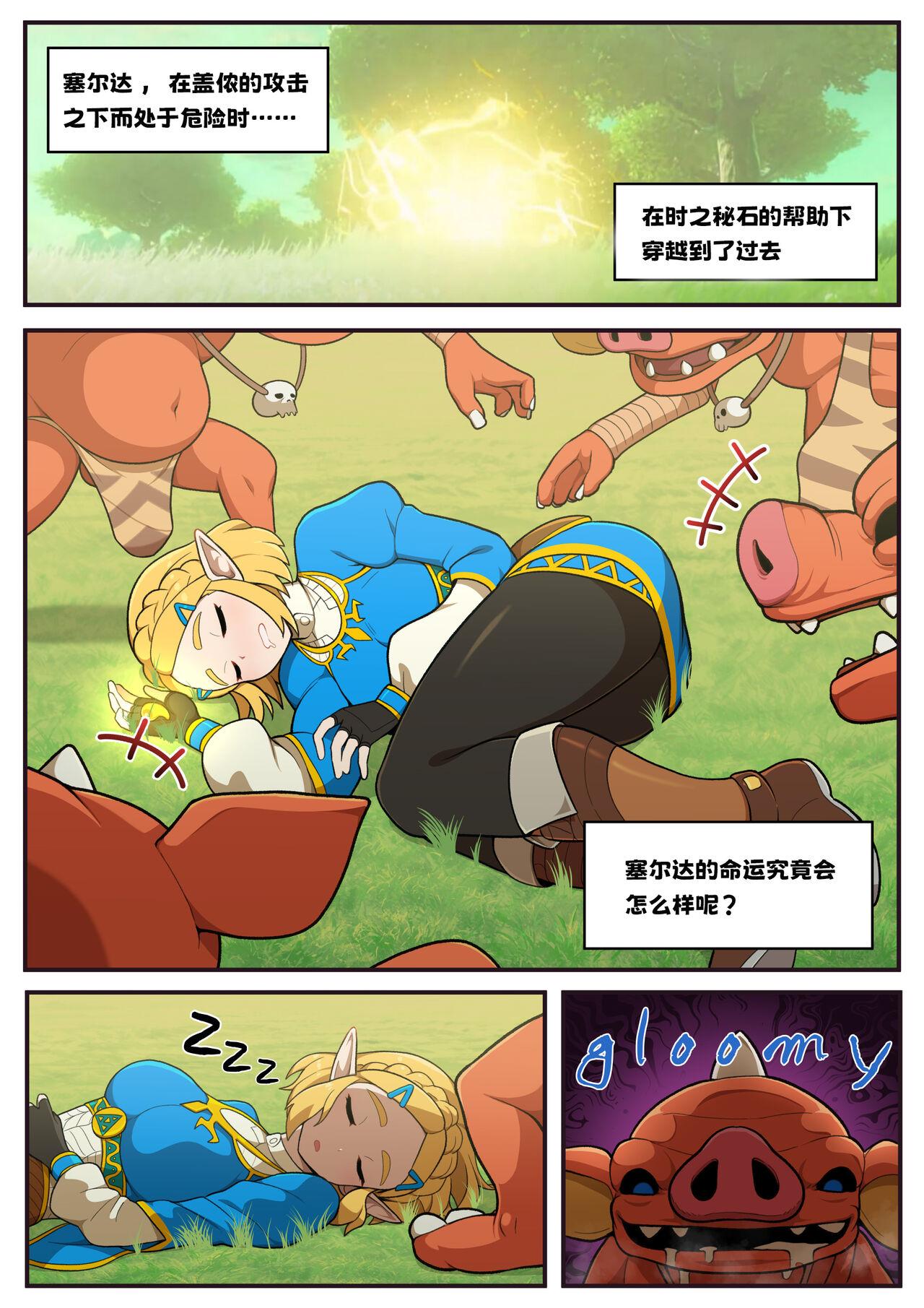 Gaycum Hidden memory - The legend of zelda Amateur Blow Job - Picture 1