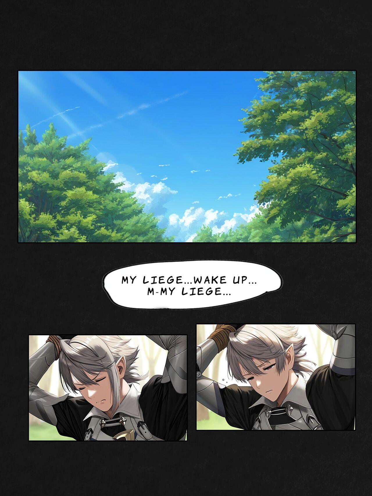 Corrin's Downfall 29