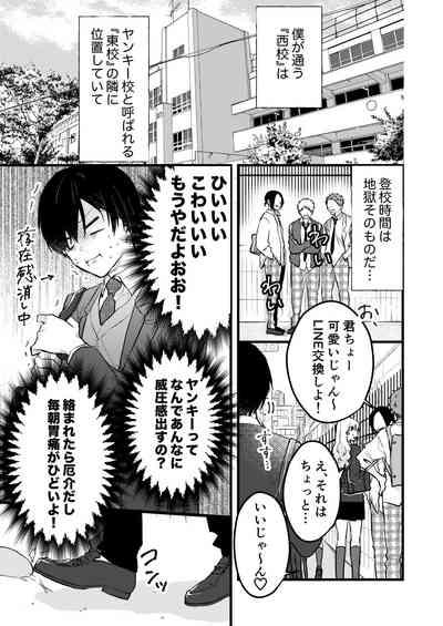 ヤンキーくんのお気に入りなんてお断り! 2