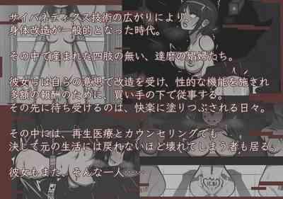 Vocational Daruma: Broken Meat Hole Archive 2