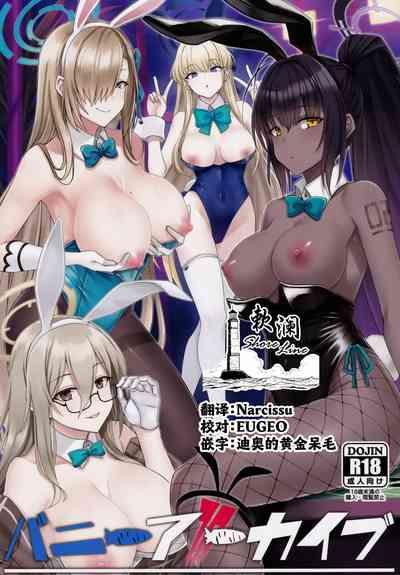 Bunny Archive 1