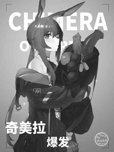 【灰鸟Shoebill】奇美拉爆发 1