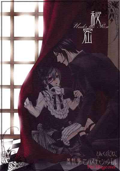 Himitsu 2