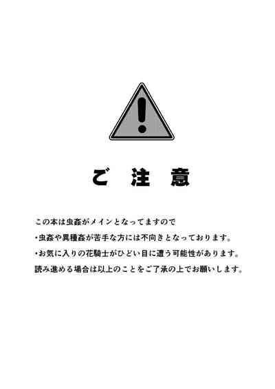 Gaichuu Higai Houkokusho File 4 2