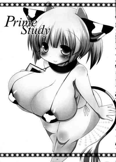 Prime Study 3