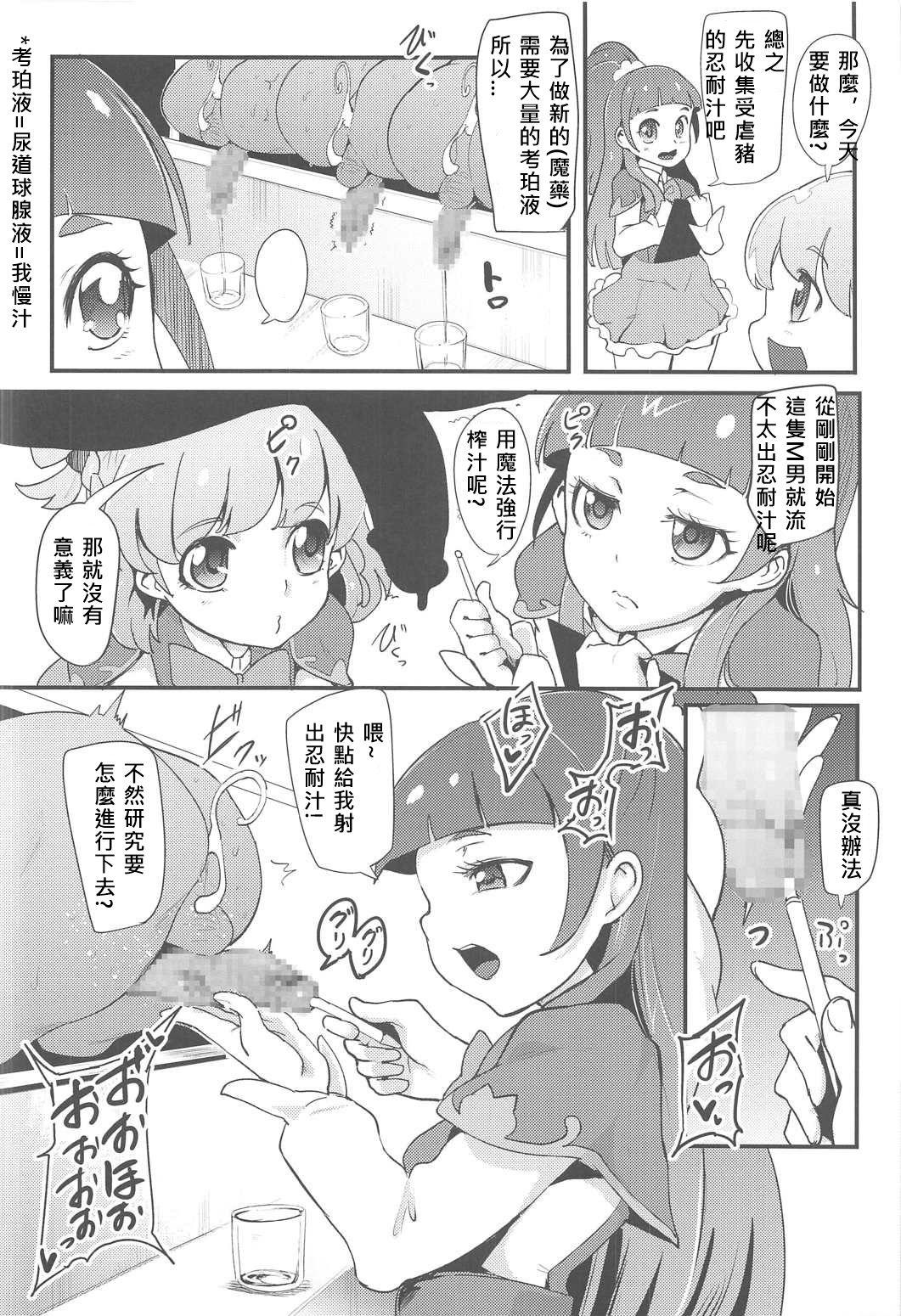 PreCure Sakusei Stars 29