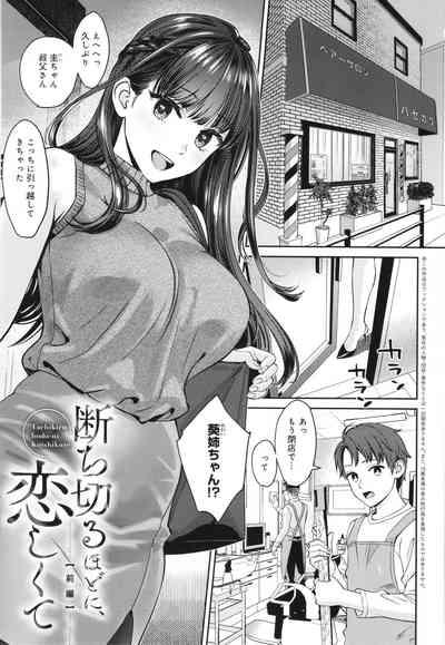 Toshiue Gentei 6