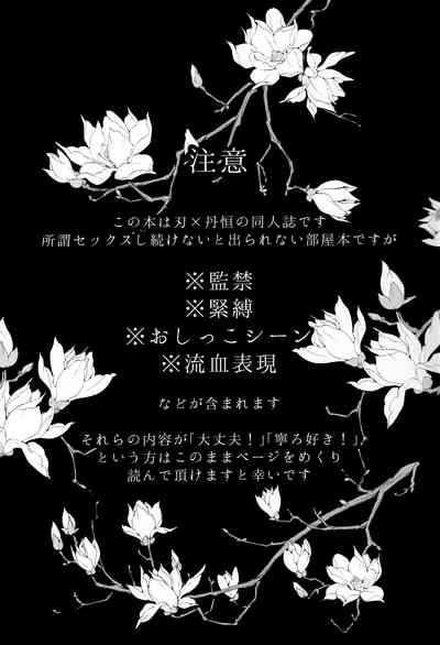 幻惑 3