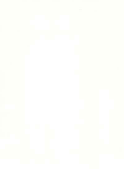 SATOHSAN+YAMADAKUN3 RANGE 1.03 A STEREORANGE PRODUCT 2