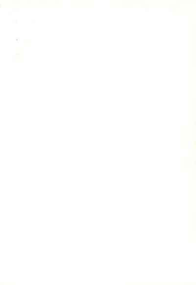 Get Sweet ”A” Low Phone 2