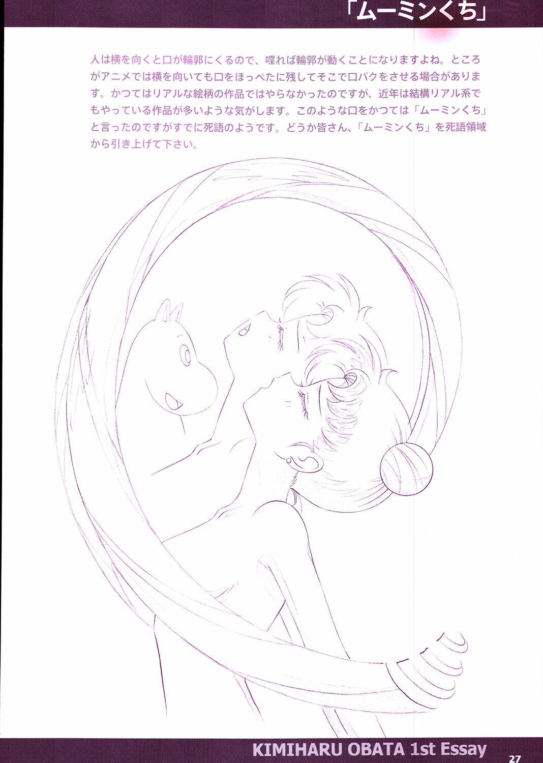 20th Anniversary Essay & Artbook 28