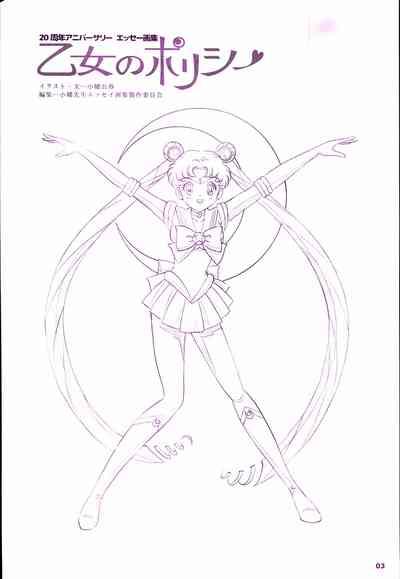 20th Anniversary Essay & Artbook 5