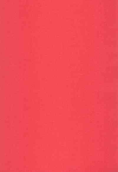 Nandemoya-san no Hataraku Puniman ni Gyaku Netorase Haramase Irai Saimin mo Suru zo 3