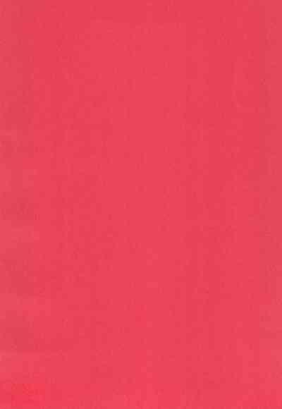 Nandemoya-san no Hataraku Puniman ni Gyaku Netorase Haramase Irai Saimin mo Suru zo 4