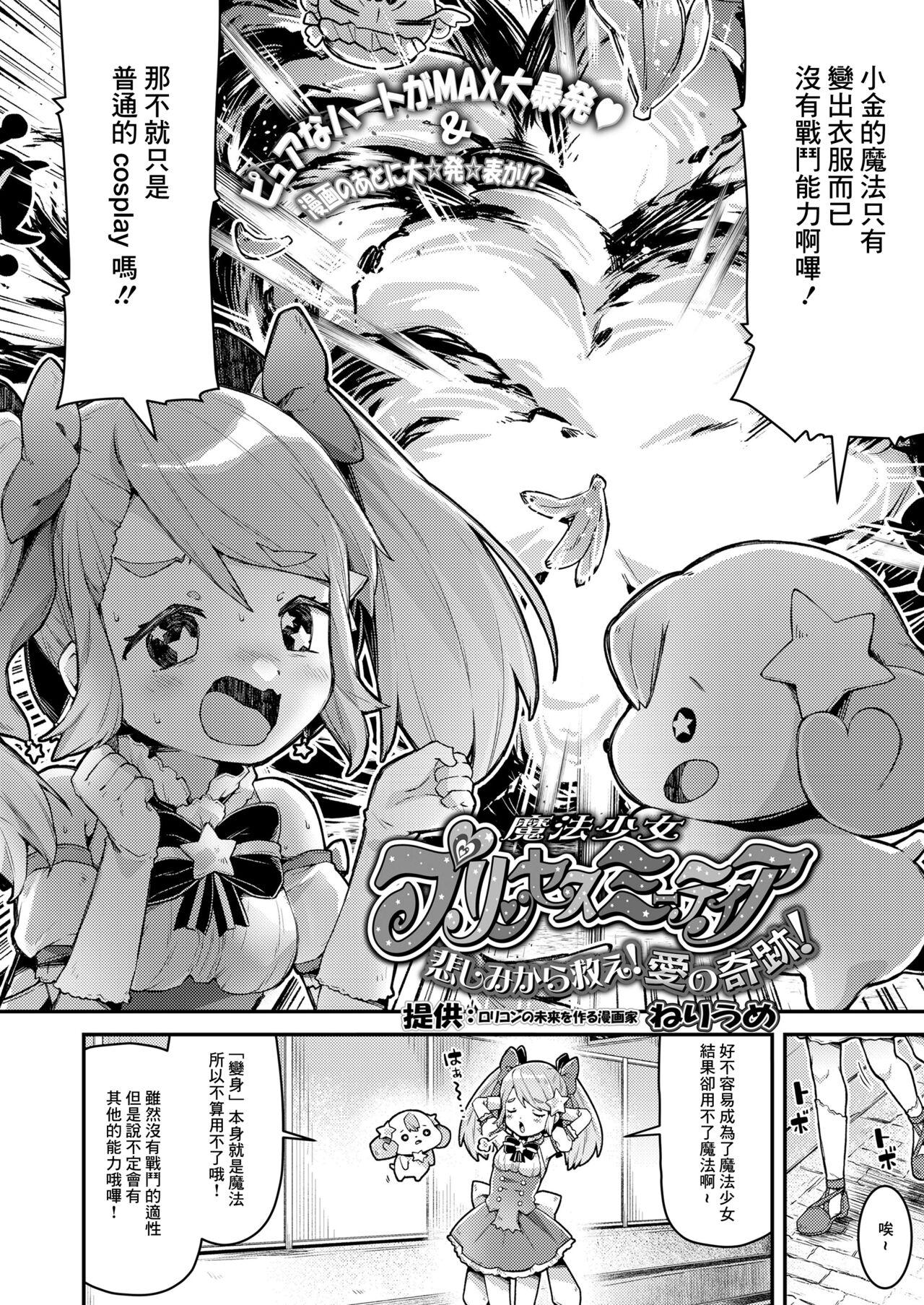 魔法少女プリンセスミーティア 悲しみから救え!愛の奇跡! 1