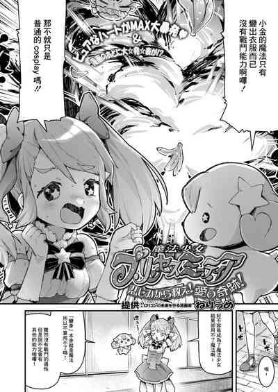 魔法少女プリンセスミーティア 悲しみから救え!愛の奇跡! 2