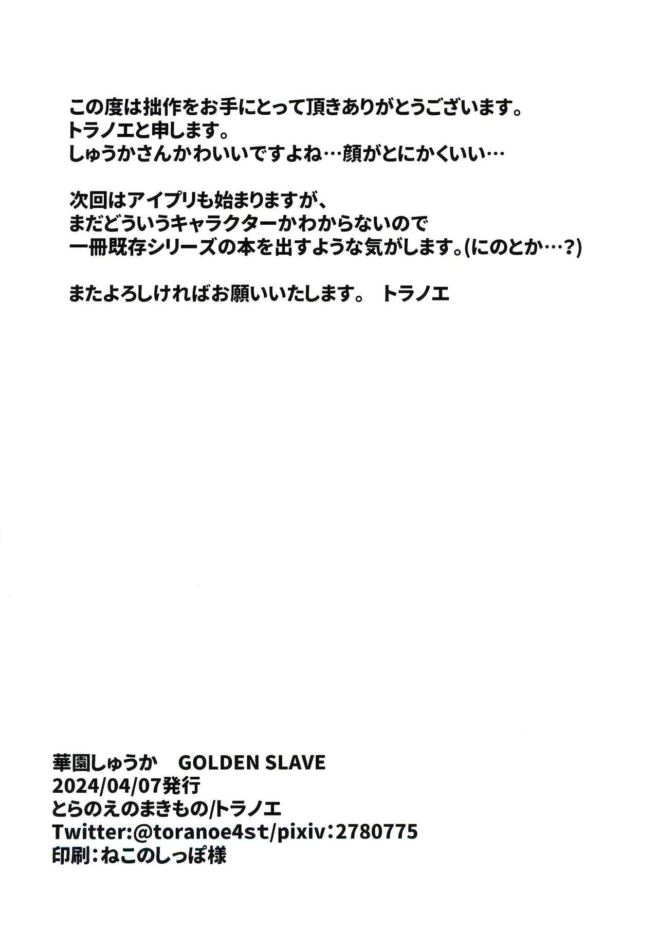 Hanazono Shuka GOLDEN SLAVE 17