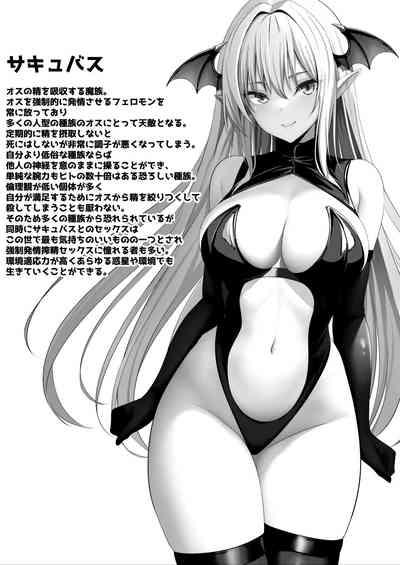 Succubus no Pet ni Naru!? 2