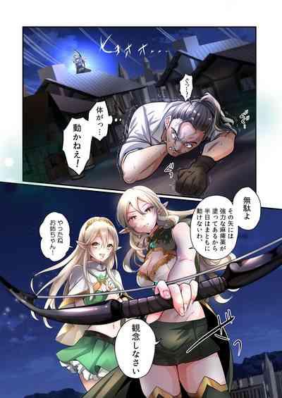 盗賊、エルフを盗む 3