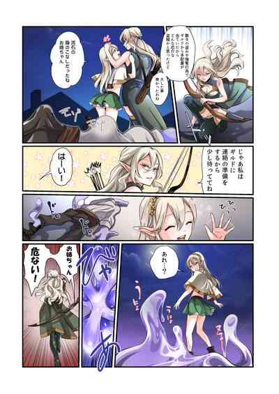 盗賊、エルフを盗む 4