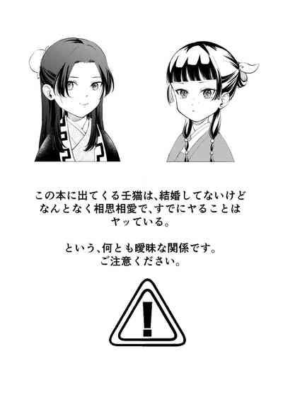 Nekomimi chaku keta neko neko ga nou otoni tekibishii houshi wo suru hon 2