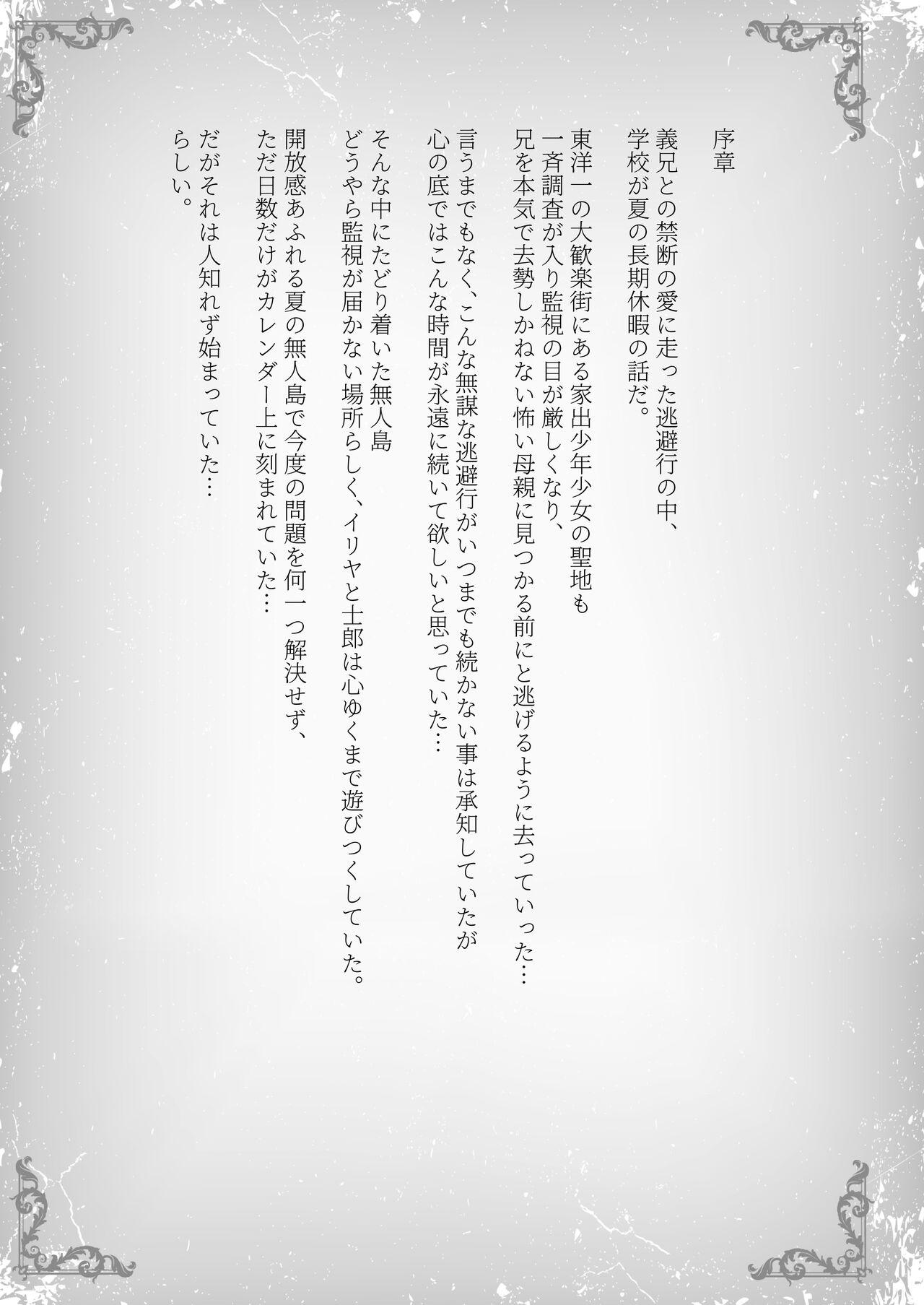Illya to Oniichan no Waranai Natsuyasumi - Page 4