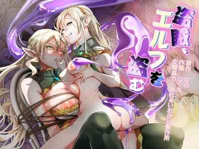 Touzoku, Elf o Nusumu 1