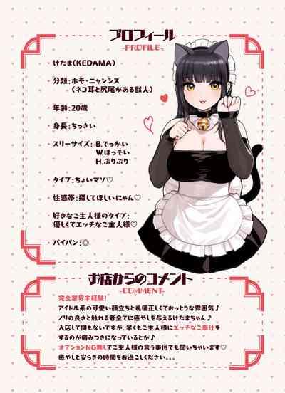 Ke mo mimi dekoki-ten no jiraijō 4