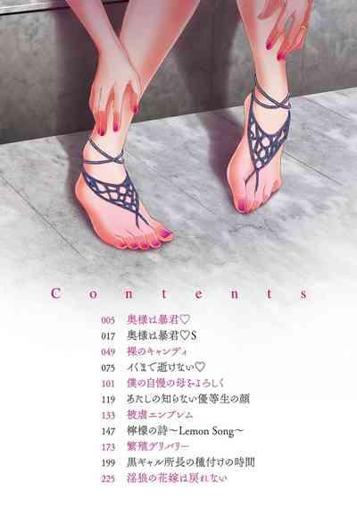 Oku-sama wa Boukun 4