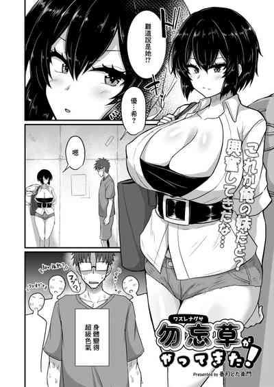 勿忘草がやってきた! 2