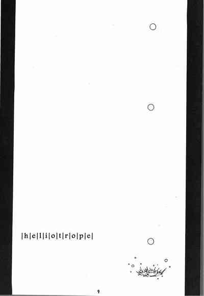 Heliotrope 10