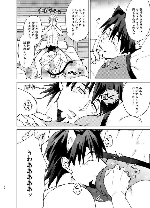 Aibou kai hajimemashita - Page 13