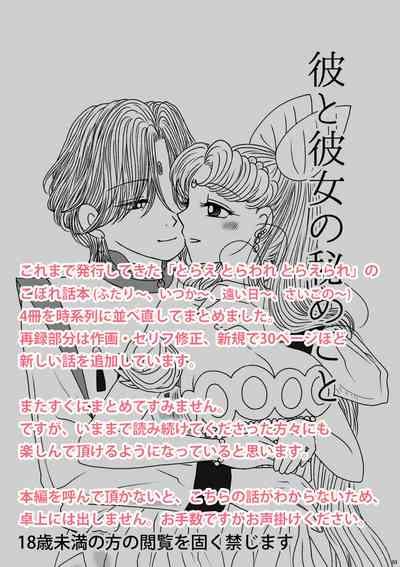 (Night of Gales Night of Gales][[7 Tsuki hakkō] shinkan sanpuru ②(Bishoujo Senshi Sailor Moon) 2