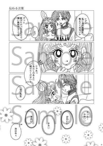 (Night of Gales Night of Gales][[7 Tsuki hakkō] shinkan sanpuru ②(Bishoujo Senshi Sailor Moon) 7