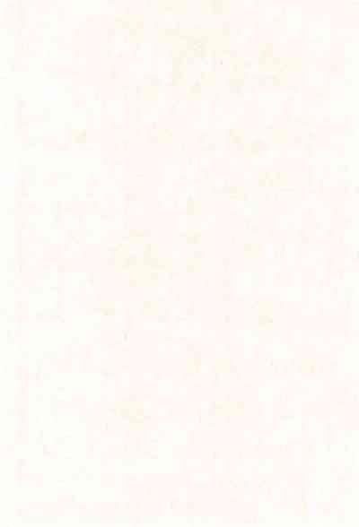 Yogoremono 6