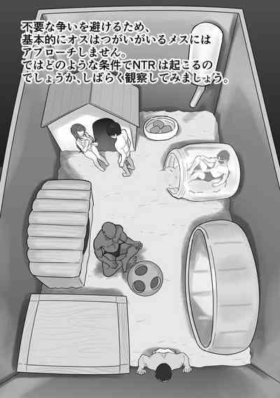 ［Ruutyan］ 8