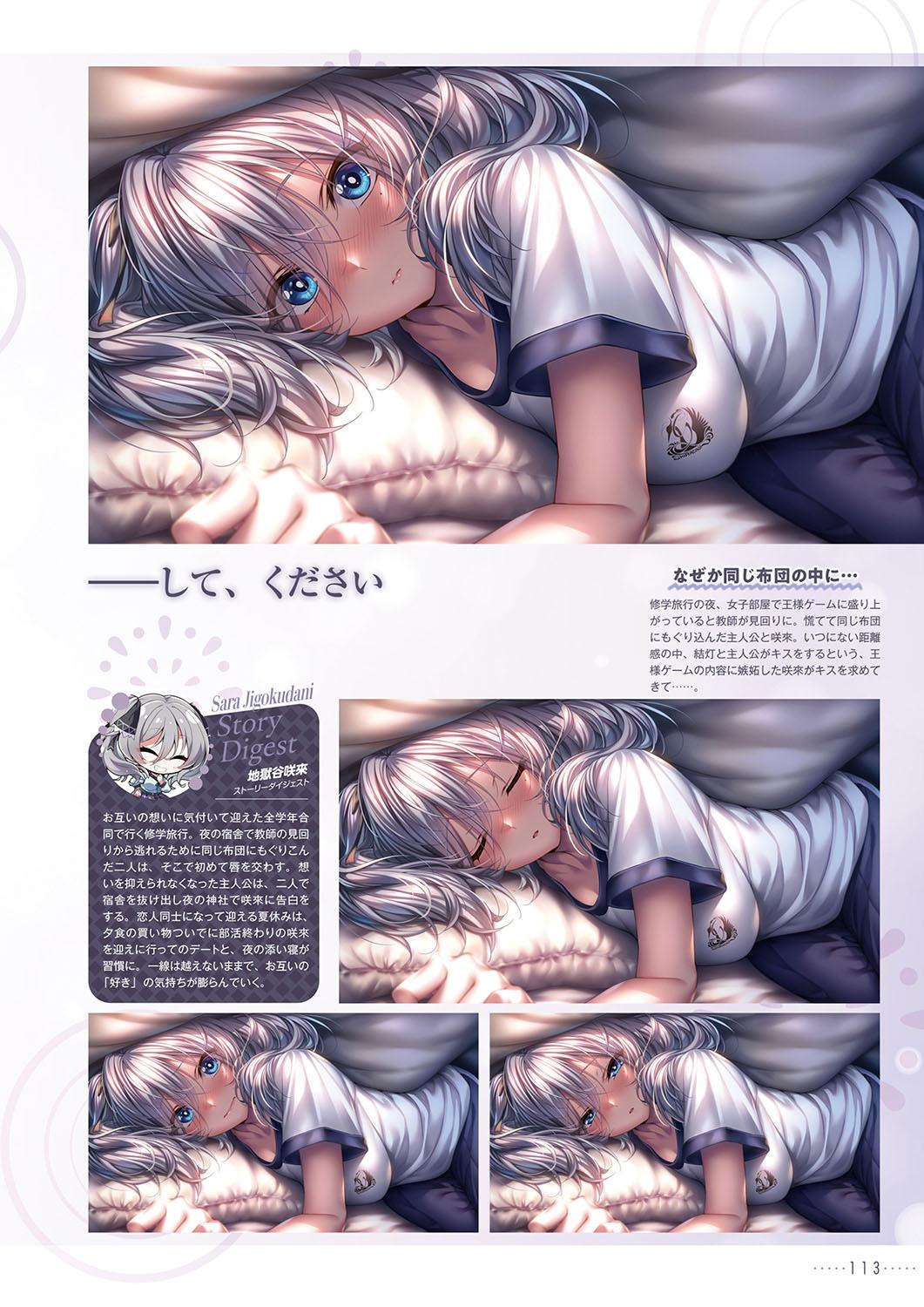 Amakano 2+ Visual Fan Book 116