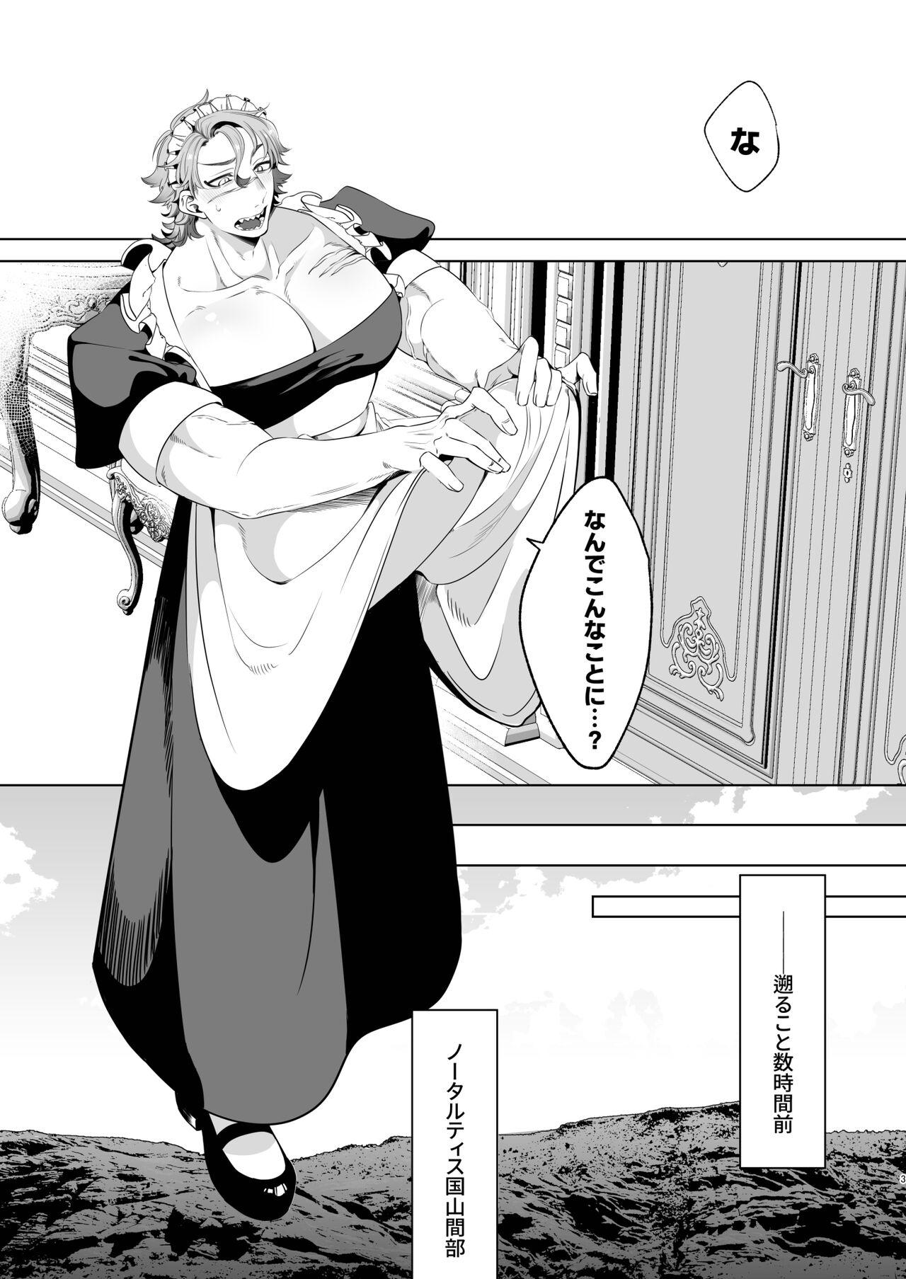 臨時メイドメス開発 + After Story - Page 3