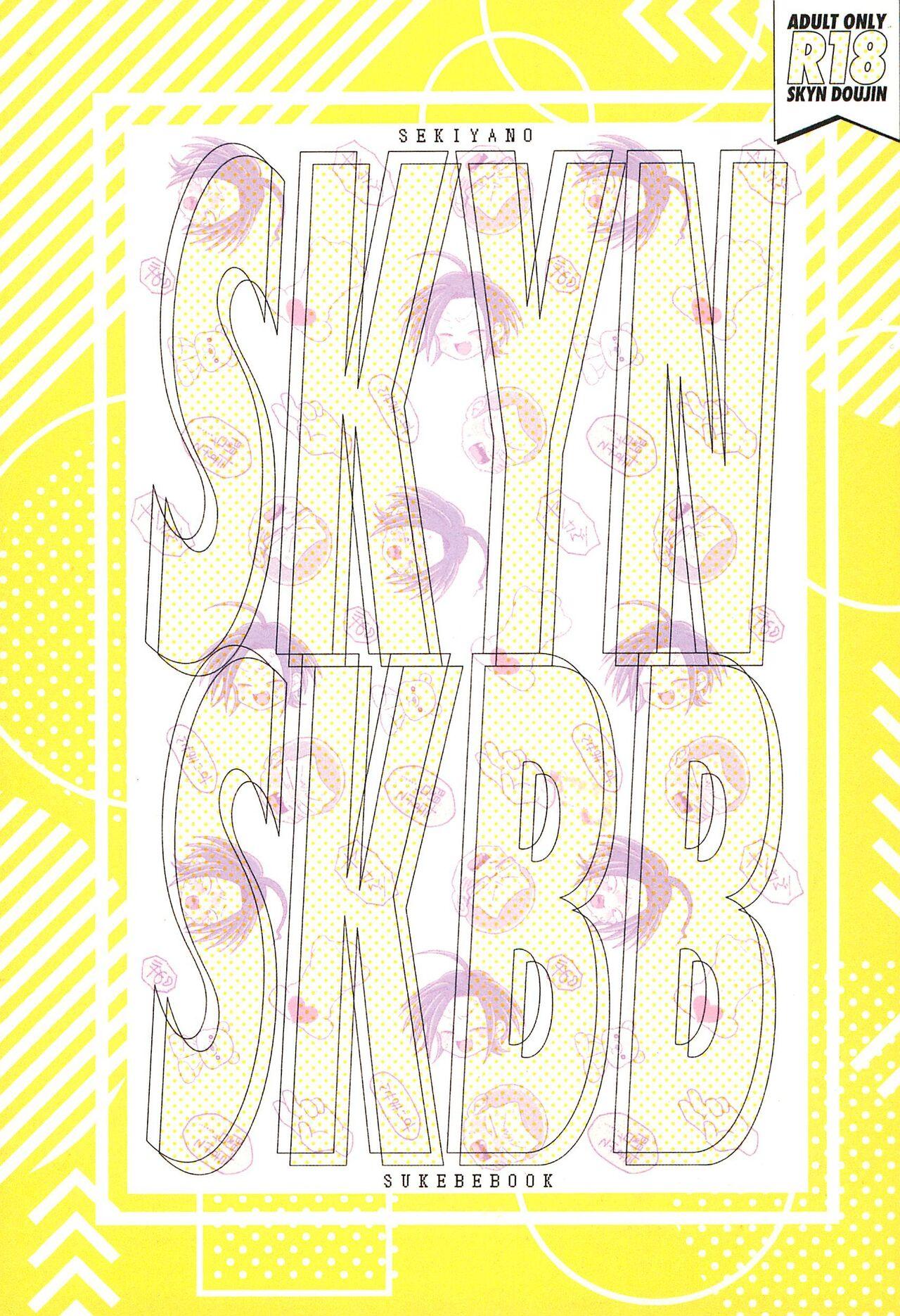 SKYNSKBB 0