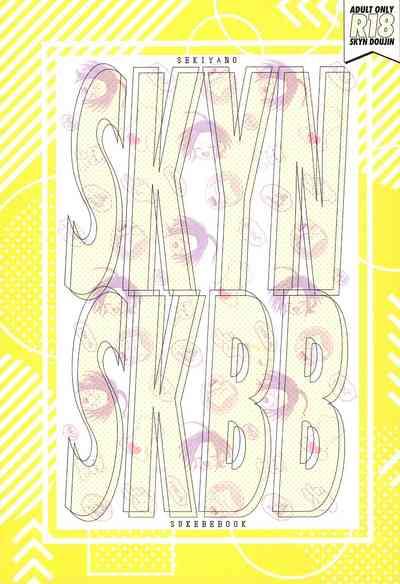 SKYNSKBB 1